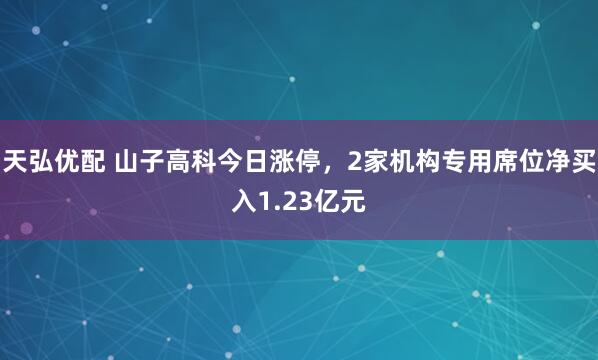 天弘优配 山子高科今日涨停，2家机构专用席位净买入1.23亿元