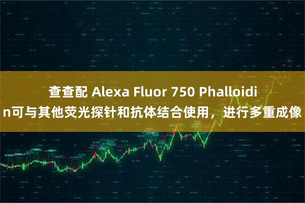查查配 Alexa Fluor 750 Phalloidin可与其他荧光探针和抗体结合使用，进行多重成像